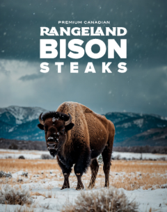 Rangeland Bison