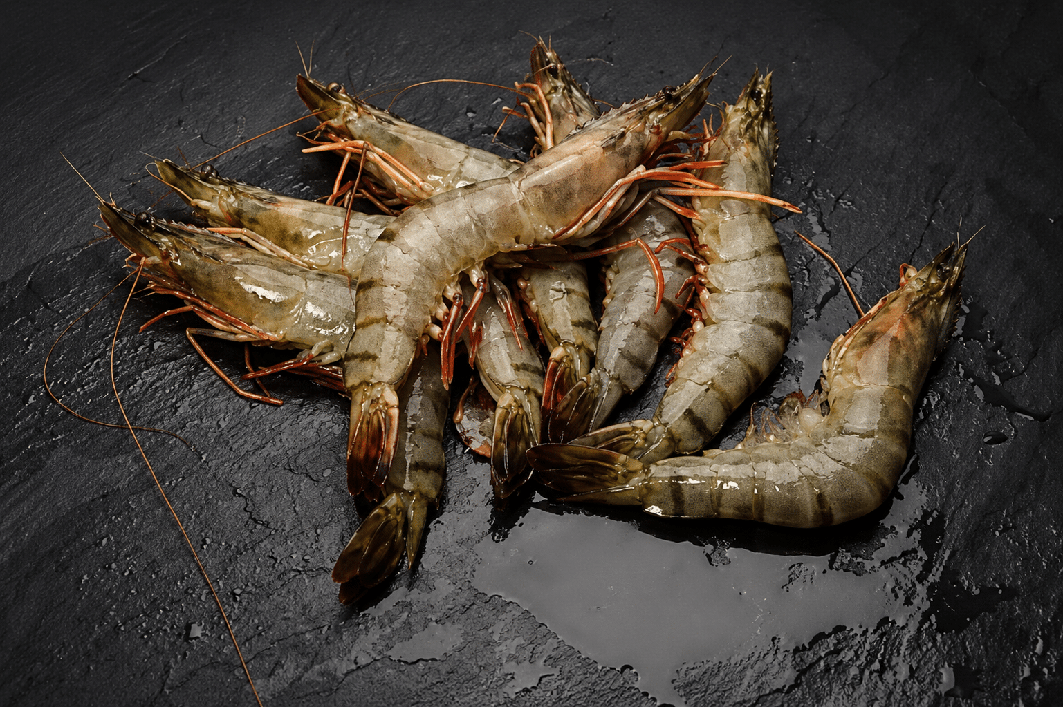 8/12 Black Tiger Gambas / Riesengarnelen mit Kopf und Schale, Schachtel mit 8-12 Stück