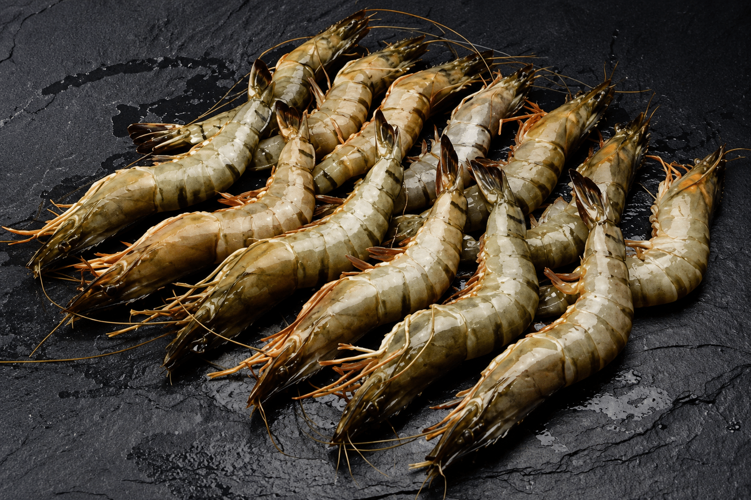21/30 Black Tiger Gambas / Riesengarnelen mit Kopf und Schale, Schachtel mit 21-30 Stück