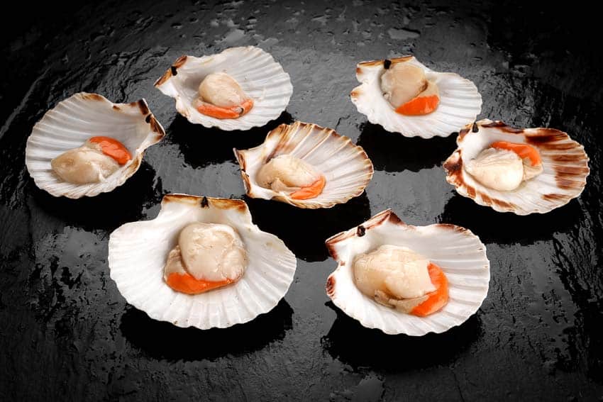 Jacobsmuscheln mit Rogen auf halber Schale, aus Wildfang, einzeln entnehmbar