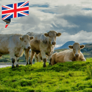 Kettyle Salt Dry Aged