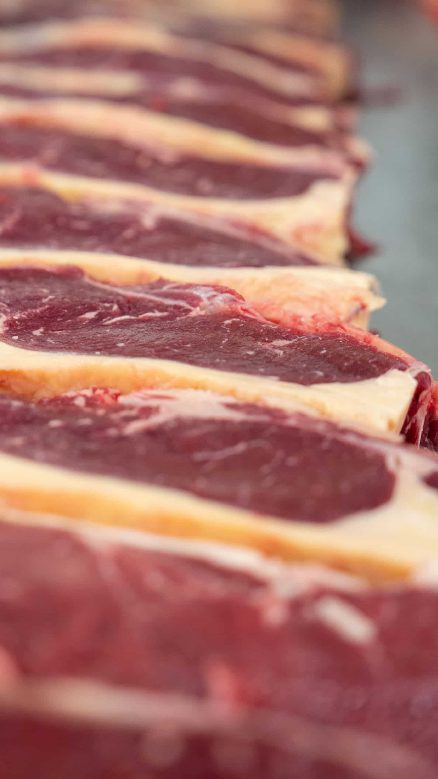 Txogitxu Rumpsteak